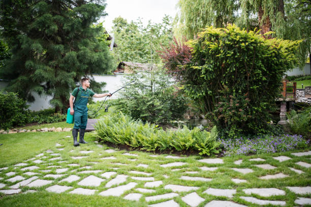 Best Pest Control Near Me in Bostonia, CA