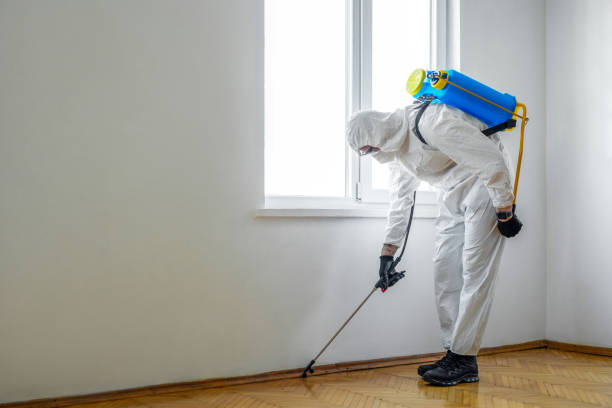Best Best Pest Control Companies  in Bostonia, CA