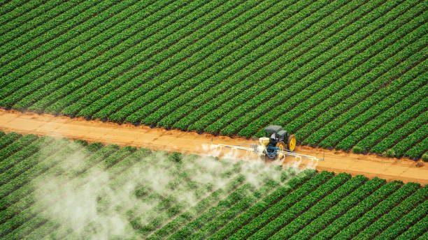 Reliable Bostonia, CA Pest Control Solutions