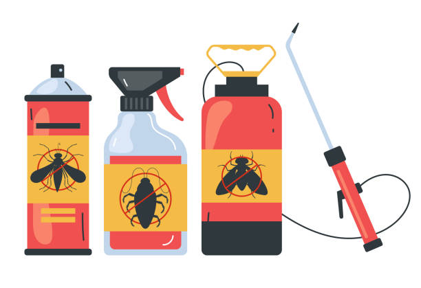 Best Termite Control Services  in Bostonia, CA